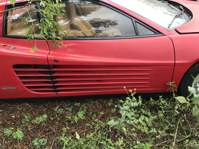 11 klasycznych Ferrari porzuconych w polu