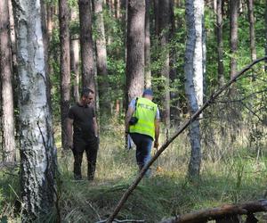 Prokuratura i IPN w Kaliszu Pomorskim. To co tu odkryli, jest wstrząsające 