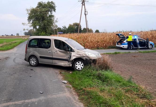 Pijany kierowca spowodował kolizję. Auto ofiary wylądowało na żywopłocie