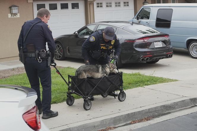 Katastrofa lotnicza w USA. W San Diego rozbił się prywatny samolot. Są ofiary śmiertelne