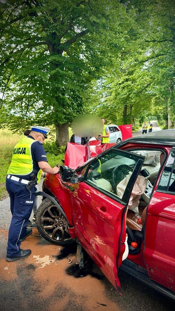 Śmiertelny wypadek pod Bytowem. Rodzice stracili 9-letnią córeczkę, ich synek walczy o życie [ZDJĘCIA]