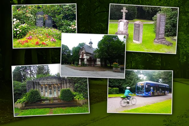 Ohlsdorfer Friedhof w Hamburgu