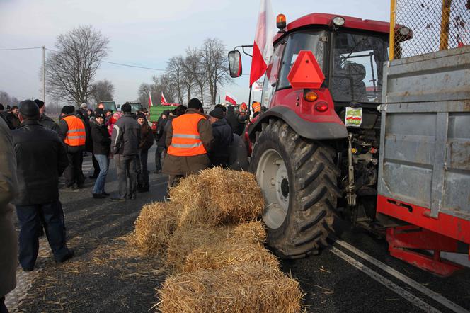 Ile zarabia polski rolnik? Prawda o pieniądzach na wsi