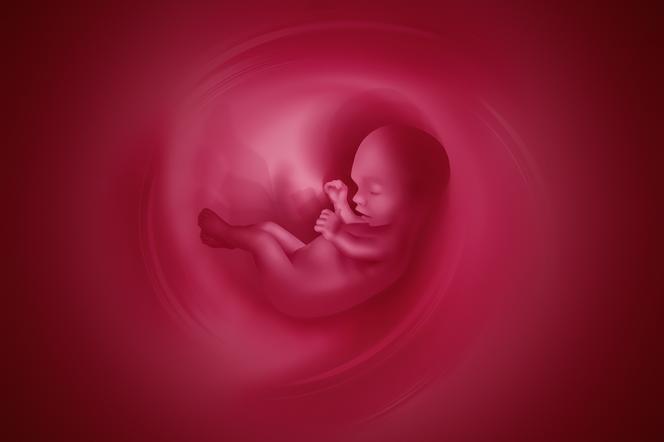 Aborcja eugeniczna: na czym polega aborcja eugeniczna? 