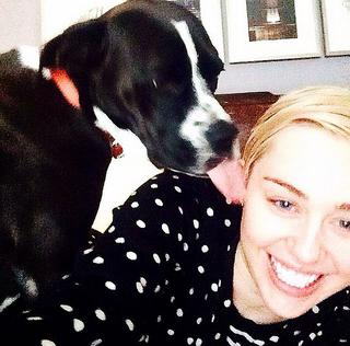 Miley Cyrus Instagram (1)