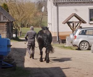 Agnieszka i Jarek z Bronowa - tak żyją bohaterowie Rolnicy Podlasie