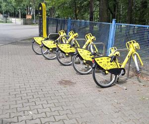 Wandale zniszczyli metrorowery w Zabrzu