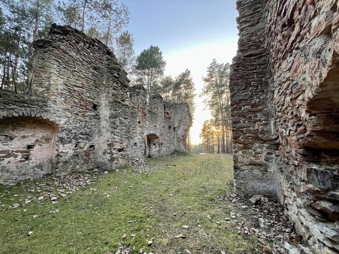 Ruiny kościoła na Górze Św. Michała w gminie Krasocin