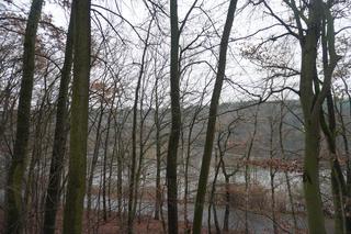 Zoo w Poznaniu zimą