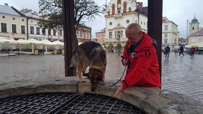 Powstał film o psach-ratownikach. Już 10-go maja do obejrzenia w WDK w Rzeszowie