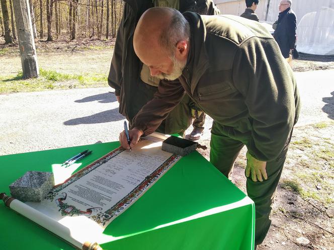 Katowice: Leśnicy sadzą na Muchowcu nowe drzewa [ZDJĘCIA, AUDIO]