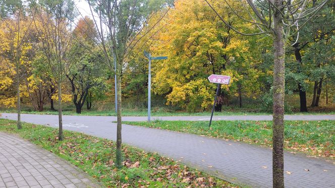 To najpiękniejszy park miejski w Olsztynie według AI. Zajmuje niemal 13 hektarów!