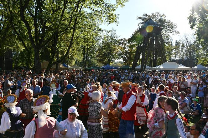 Tłumy na dożynkach w Olsztynku. Zobacz, jak wyglądało tegoroczne święto plonów