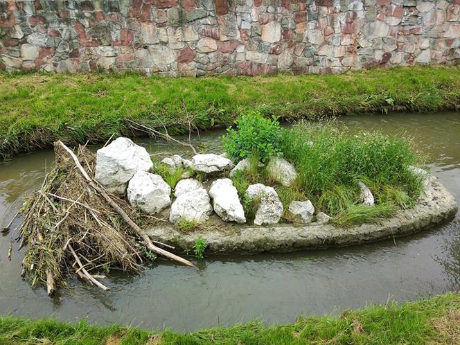 Sytuacja hydrologiczna w Tarnowie. Czy grozi nam powódź?