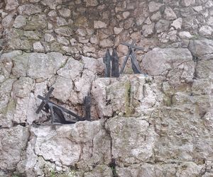 Ogród za kościołem św. Józefa w Krakowie