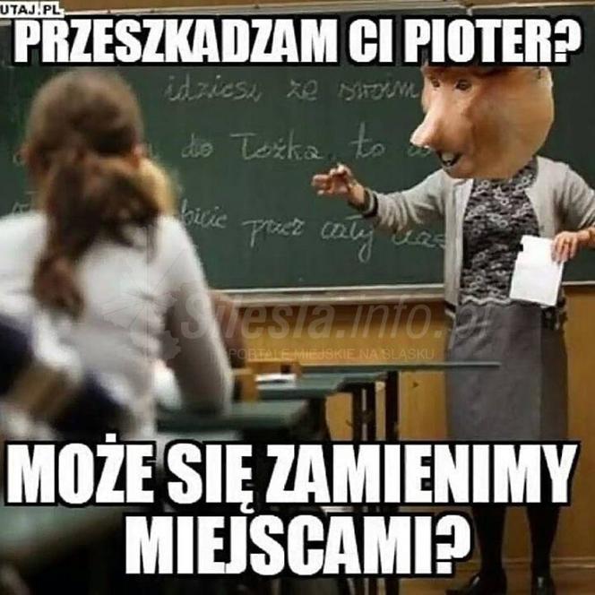 Memy o szkole