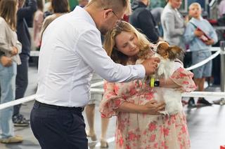 Wystawa psów w Szczecinie 