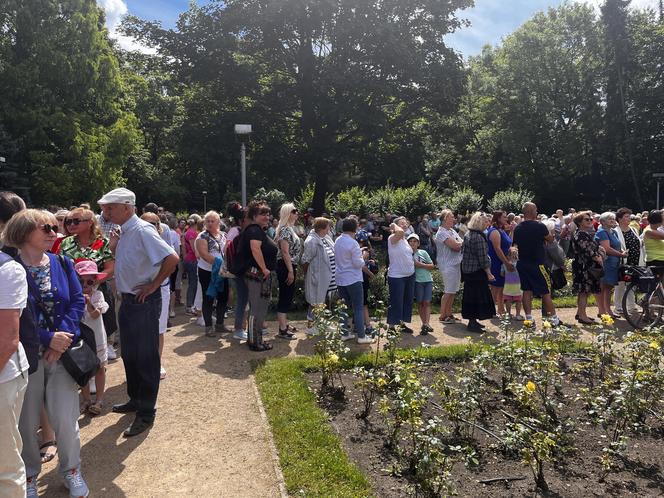 Kolejka tort urodziny Szczecina 