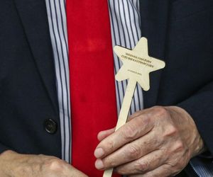 Wojewoda i różdżki.