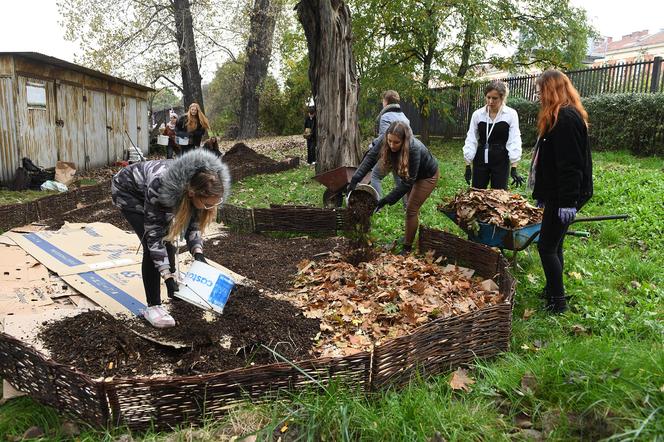 Studenci Politechniki Krakowskiej zbudowali pierwsze „glebarium”