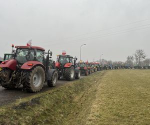 protest rolników 