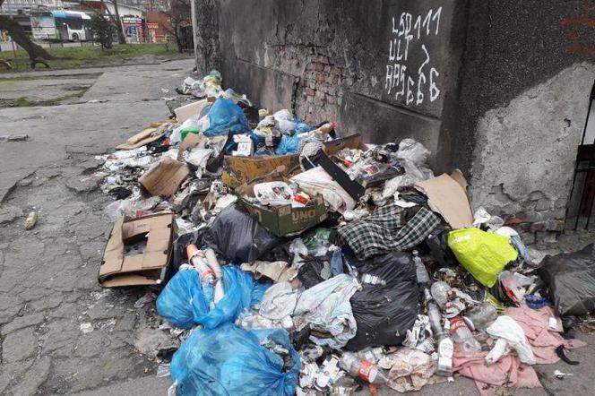 Szczecin: Podrzucał śmieci, wpadł na gorącym uczynku. Teraz słono za to zapłaci!