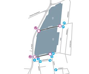 Jak dojechać na łódzkie cmentarze. Wszystkich Świętych 2025