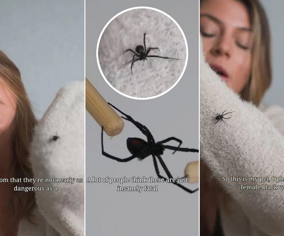Najseksowniejsza naukowiec świata kupiła sobie ultrajadowitego pająka. Przytula się do niego, fani przerażeni