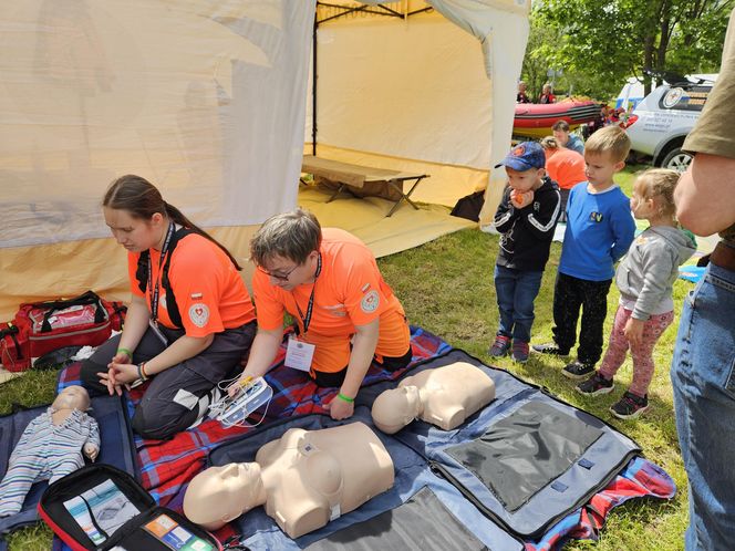 Festiwal Przyjaciół Zwierząt w Olsztynie. Park Centralny opanowały radosne pieski