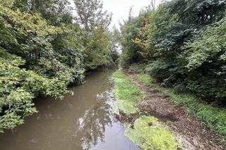 Jak wygląda sytuacja w Wielkopolsce? 