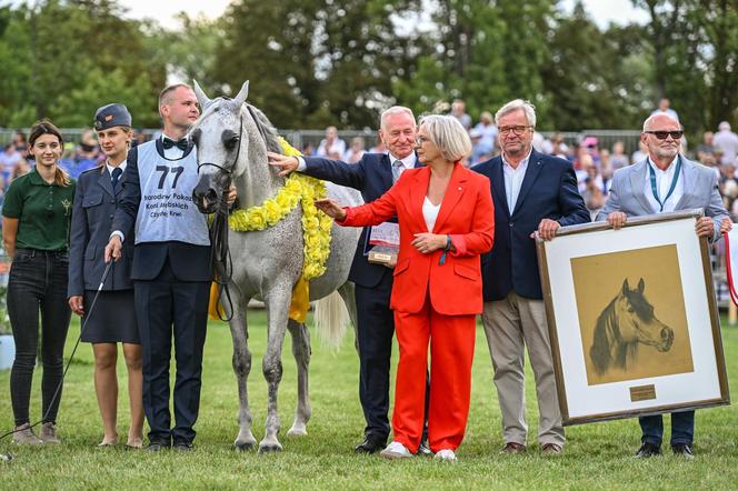 Prawie 640 tys. euro za konie na aukcji Pride of Poland