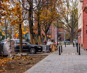 Likwidacja parkingu przy ul. Filtrowej w Warszawie