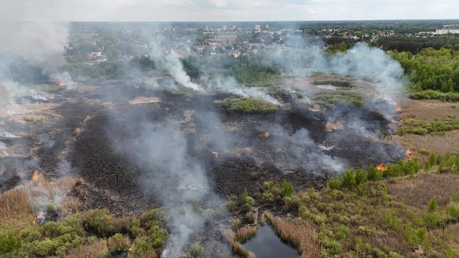 Wołomin: Płonie Natura 2000. Dym widać z wielu kilometrów