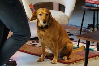 Niedzielne Rękoczyny w Bydgoszczy. Tłumy w Młynach Rothera [ZDJĘCIA]