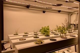 Prototyp kabiny SmartFood