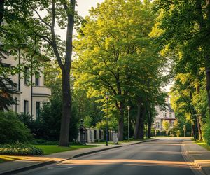 AI wybrała najpiękniejsze miasto. Rezultat zaskakuje, to nie Warszawa.
