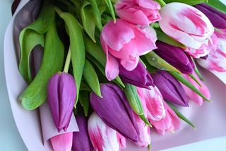 Życzenia na imieniny Krystyny 13.03.2025. Mamy darmowe wierszyki i rymowanki dla Krysi! Zobacz najlepsze propozycje [SMS, FACEBOOK]