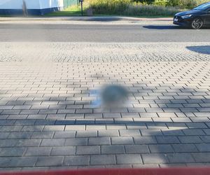 Strzały na przystanku w Dąbrowie Górniczej Antoniowie