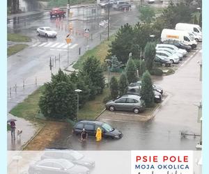 Wrocław niczym Wenecja! Zatopione ulice po ulewnych deszczach [ZDJĘCIA, FILMY]