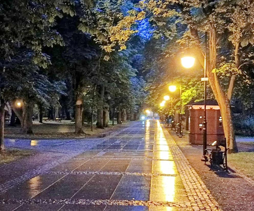 To zielone zakątki naszego miasta.  Zobacz jak znasz radomskie parki 