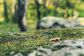 Białystok buduje Park Bioróżnorodności