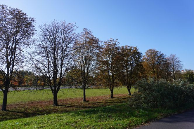 Park im. św. Jana Pawła II w jesiennych barwach