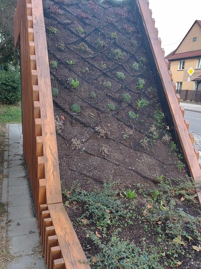 Kolejne 22 tysiące na zielone wiaty w Starachowicach