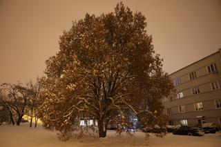 Śnieżny Lublin wieczorową porą
