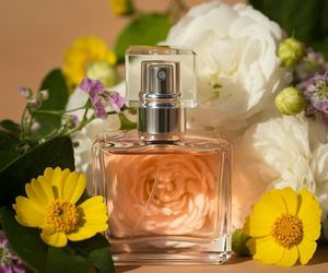 W poniedziałek ostatnia taka okazja w Rossmannie. W promocji świeże perfumy na lato za 39 zł. Lekkie i kobiece dodadzą witalności. Perfumy damskie w Rossmann