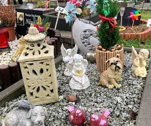 W całym woj. śląskim jest tylko jeden taki cmentarz. Miejsce, gdzie pamięć o pupilu nie umiera