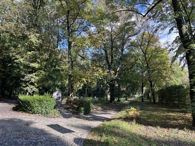 Park Kopernika w Gorzowie w jesiennej scenerii