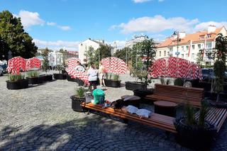 Kolejne miejsce parkingowe zabrane. Plac Farny stał się parkletem