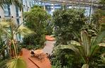 Ogród botaniczny wśród wieżowców