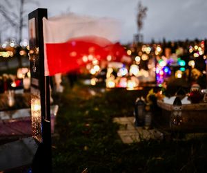 Cmentarz Łostowicki w Gdańsku zachwyca po zmroku